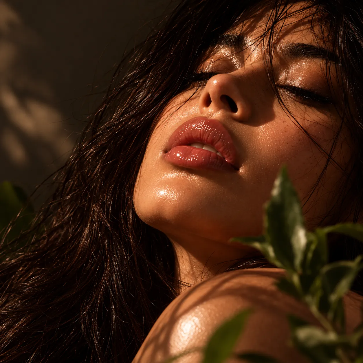 Rawwish Beauty Collection
